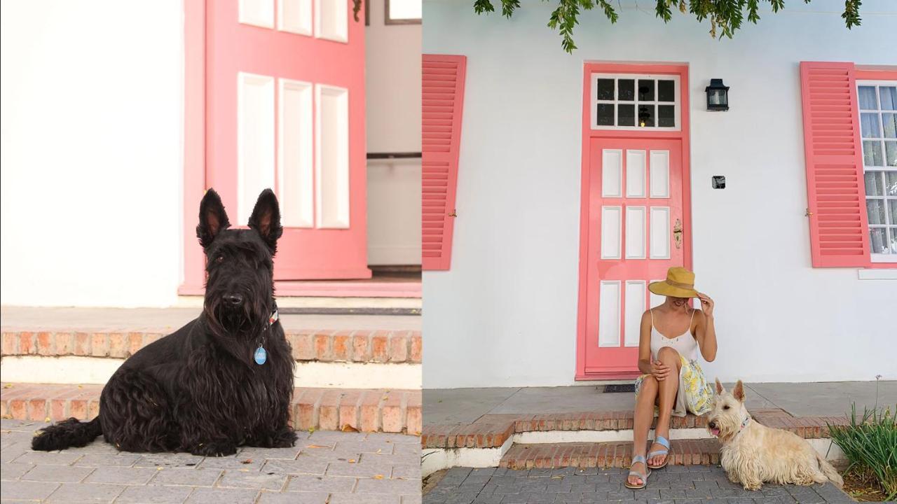 Drostdy Hotel Graaff-Reinet Eksteriør billede Scottie dogs